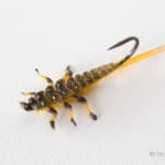 Upside Down Realistic Stonefly Nymph - Yellow