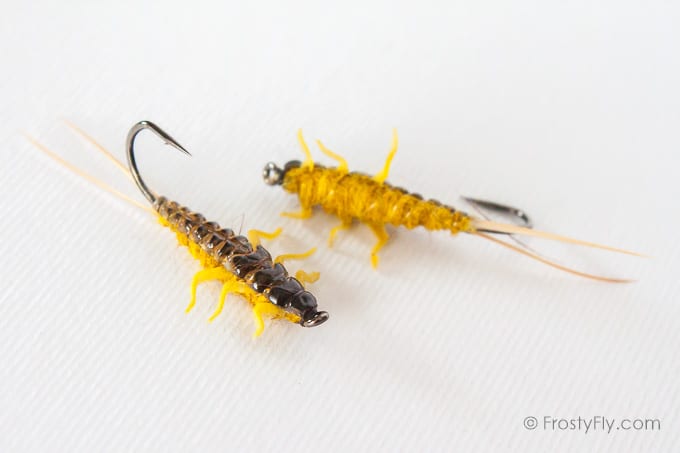Upside Down Realistic Stonefly Nymphs - Golden