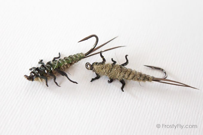 Upside Down Realistic Stonefly Nymphs - Green