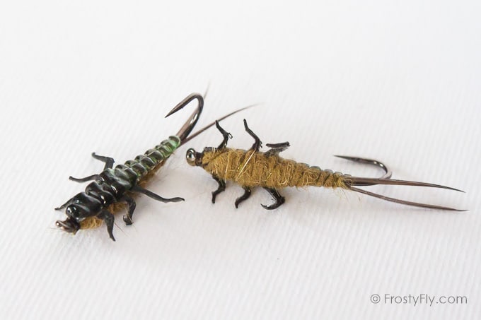 Upside Down Realistic Stonefly Nymphs - Olive
