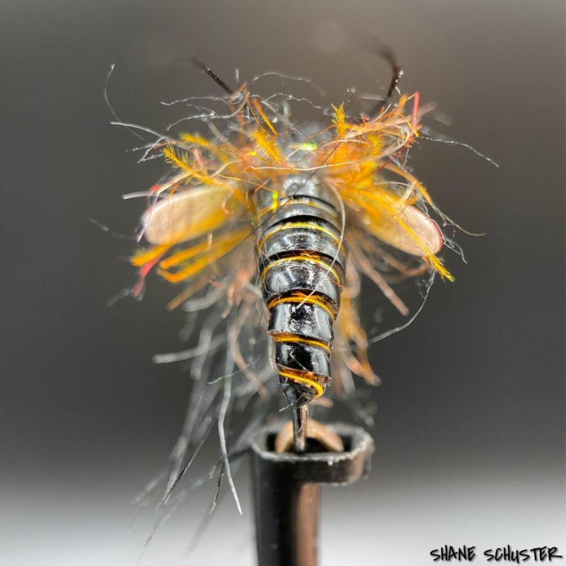 Shane Schuster's Caddis Pupa tied with Virtual Nymph Skin