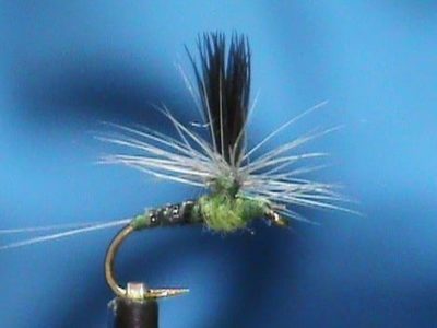 Magic Quill Blue Wing Olive Parachute tied by Jim Misiura