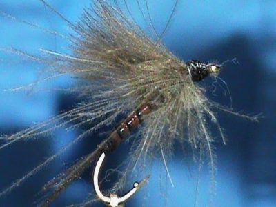 Synthetic Quill CDC Emerger tied by Jim Misiura