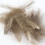 Hemingway's CDC Feathers - Natural Dark Brown