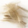 Hemingway's CDC Feathers - Natural Light Brown