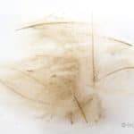 Hemingway's CDC Feathers - Tan