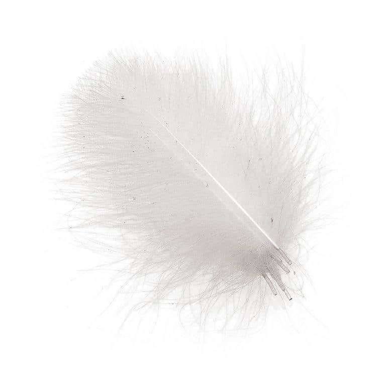 Hemingway's CDC Feathers - White
