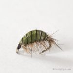 Realistic Scud Fly - Olive