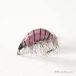 Realistic Scud Fly - Pink
