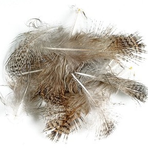 Soldarini Selected Partridge Feathers - Natural Brown
