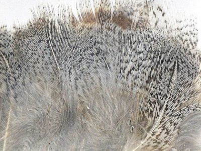 Soldarini Selected Partridge Feathers - Natural Gray