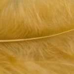 Marabou Feathers - Hand-Selected - Beige