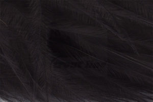 Marabou Feathers - Hand-Selected - Black