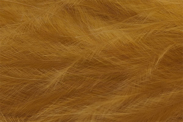 Marabou Feathers - Hand-Selected - Dark Olive