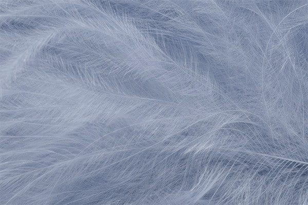 Marabou Feathers - Hand-Selected - Dun