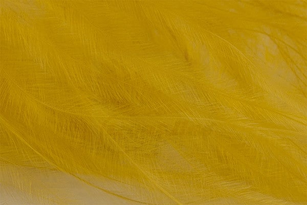 Marabou Feathers - Hand-Selected - Golden Olive