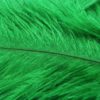 Fly Tying Ostrich Feathers 10-12 inch - Green Highlander