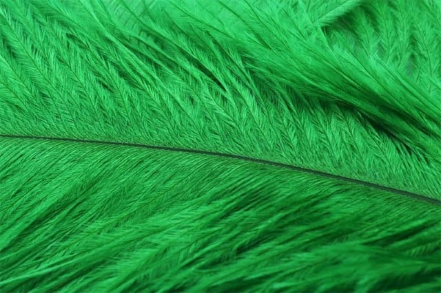 Fly Tying Ostrich Feathers 10-12 inch - Green Highlander