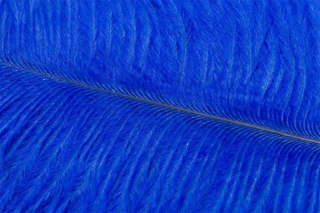 Fly Tying Ostrich Feathers 10-12 inch - Kingfisher Blue