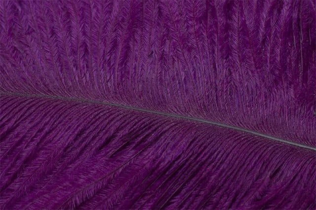 Fly Tying Ostrich Feathers 10-12 inch - Magenta