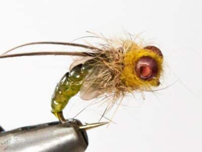 How to tie Realistic Caddis Emerger - Fly Tying Video Instructions