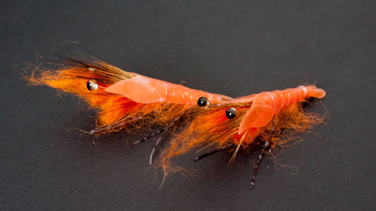 Fly Tying a Realistic Shrimp Fly - Easy Steps