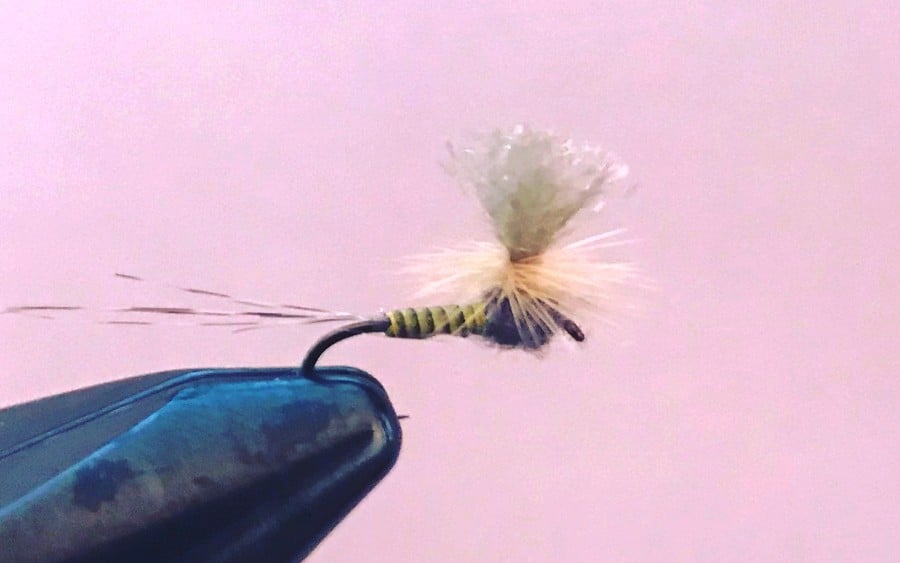 Quill Body Parachute Dry Fly tied by Steven Craig
