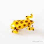 Realistic Frog Fly - Yellow