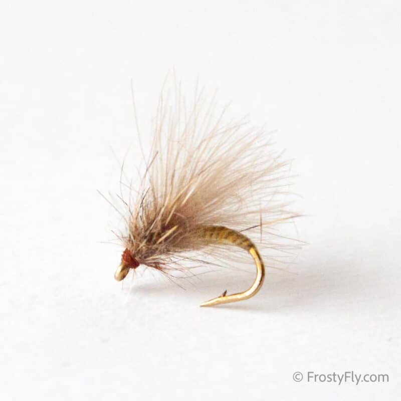 CDC Quill Emerger - Yellow