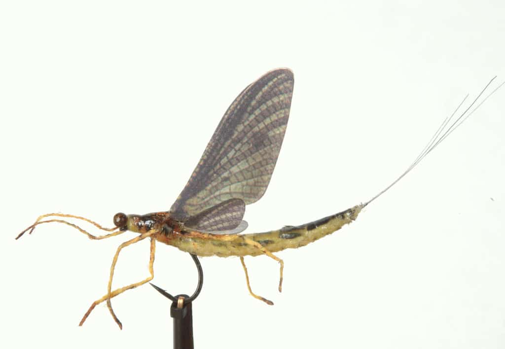Pre-cut Realistic Fly Wings Fly Tying Material Insect Wings Dry Fly Mayfly  DIY
