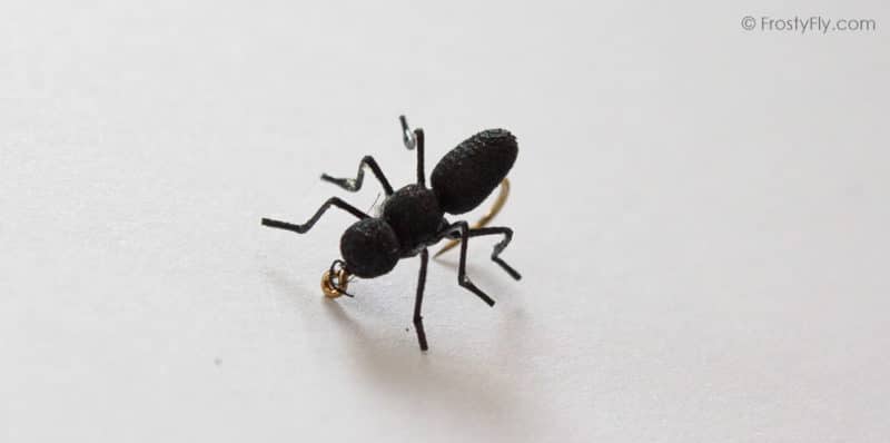 Realistic Ant Black 9714 - FrostyFly
