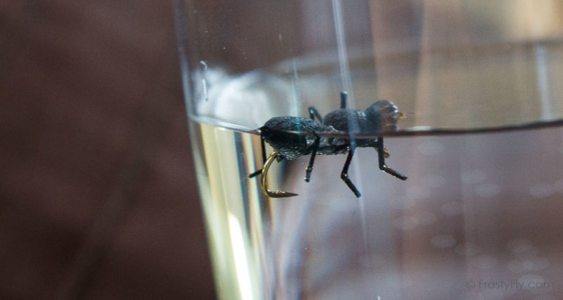 Realistic Black Ant fly floating the water