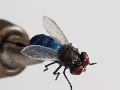 Realistic Blue Bottle Fly