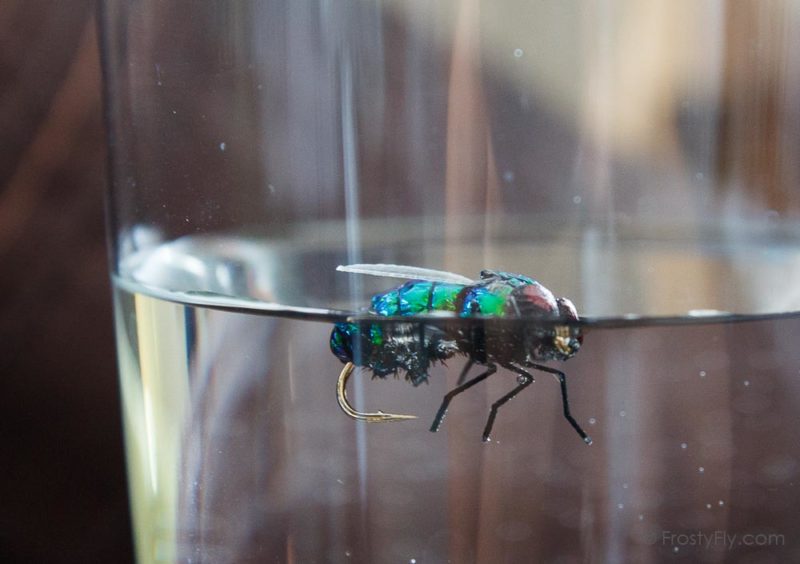Realistic Bottle Fly floating in the water 9732 - FrostyFly