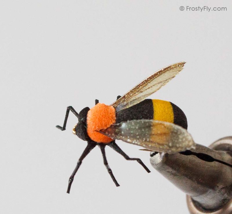 Realistic Bumblebee - Orange