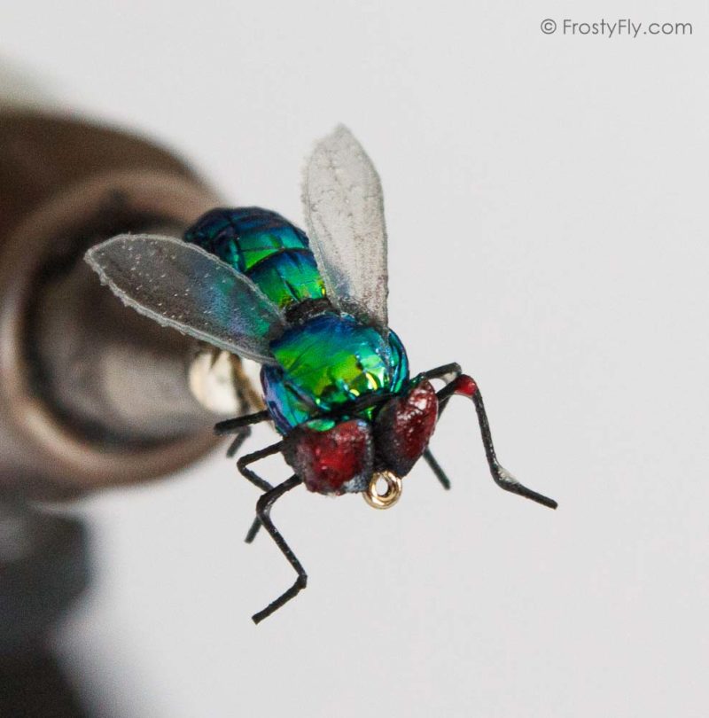 Realistic Green Bottle Fly