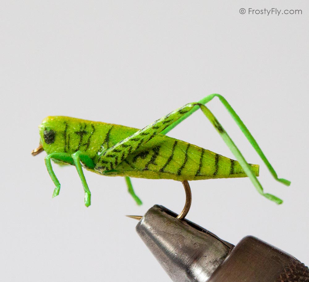 FLAWISH 5Pcs 4cm Lifelike Insect Grasshopper Fishing Lures Baits