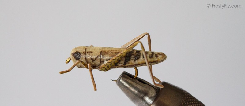 FLAWISH 5Pcs 4cm Lifelike Insect Grasshopper Fishing Lures Baits