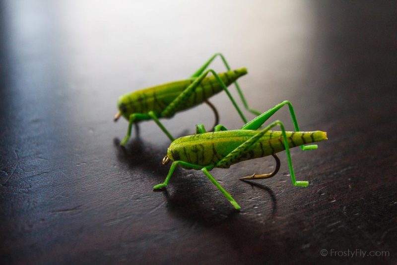 Realistic Hoppers - Grasshoppers