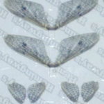Realistic Mayfly Wings - 2 Pairs - Light Gray