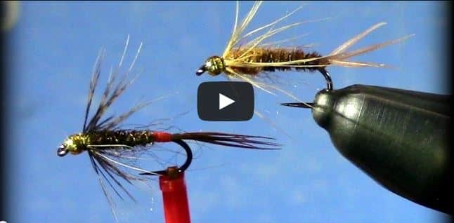Soft Hackle Pheasant Tail