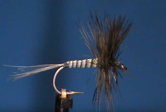 Synthetic Quill Dry Fly