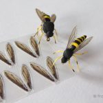 FrostyFly Realistic Wasp Wings