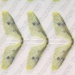 Realistic Mayfly Wings Light Yellow - Extra Large