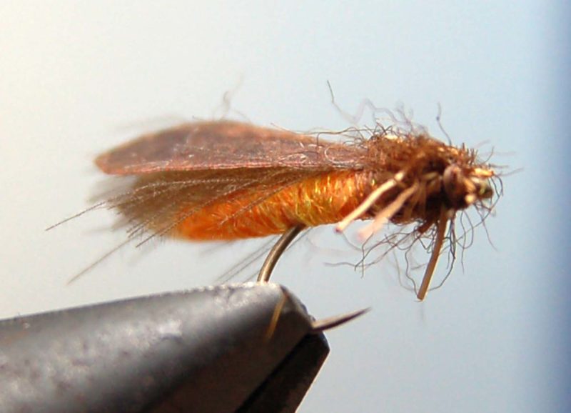 Tying Caddis Fly made with Hemingway's Tube Body Caddis and Caddis WingsStep 15