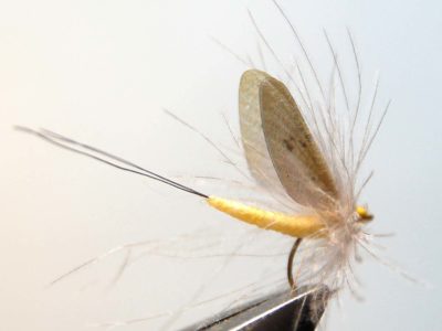How to tie realistic mayfly - Step 13