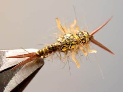 How to Tie Realistic Stonefly Nymph - Step 20