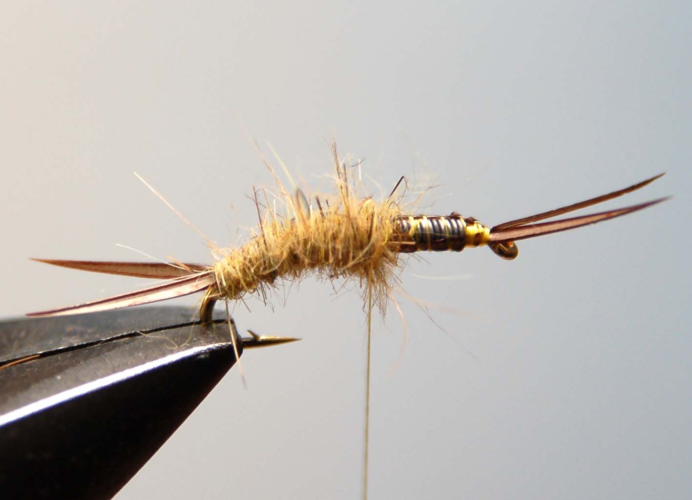 Realistic Stonefly Nymph Wing Buds & Back - FrostyFly